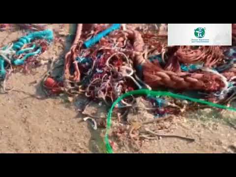 مشاركة التلميذة خديجة السناح في مسابقة الصحافيين الشباب تحت موضوع الاسماك في خطر