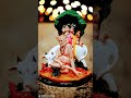 🌸 Shree Swami Samarth 🌸🌺🌺🙏🙏💗💗