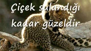 Hasan Cihat Örter - Jamais & Sendedir Gizem .Wmv