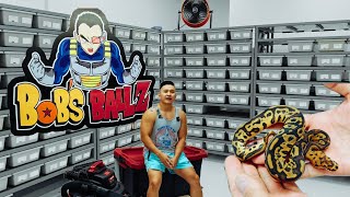 Famous Bobs Balls Facility Tour Net Worth