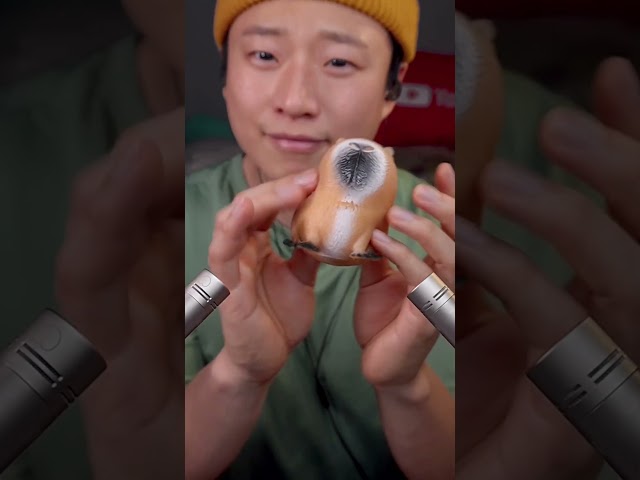[ASMR] 눈 깜빡이지 마세요! 초록색, 빨간색 공룡 몇 번 마리일까요? 🟢🔴🦖 (소리가 너무 좋은~ 집중력 테스트)