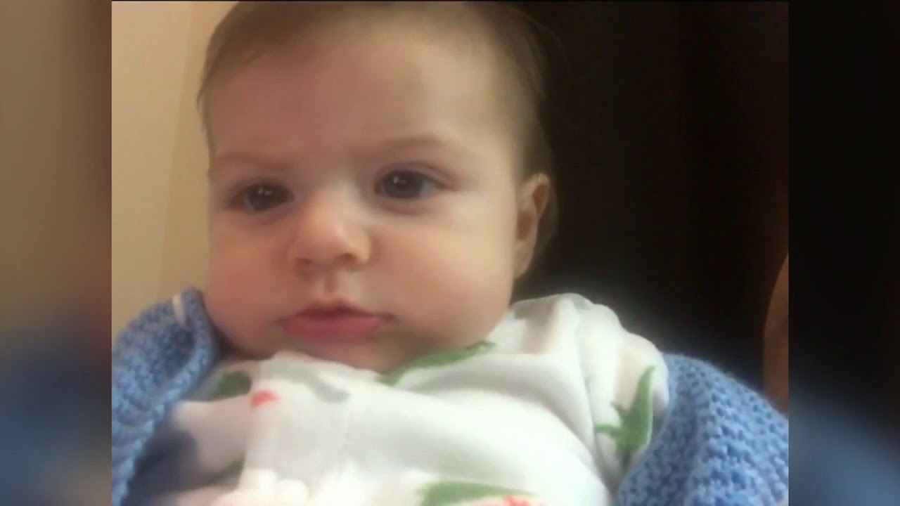 2F4FF1F3 61E8 4618 A608 D44F63354D72