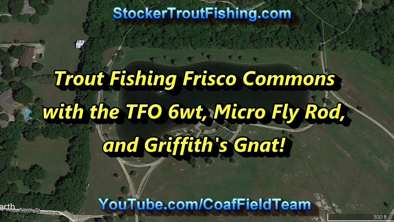 More Texas Rainbow Trout Fishing Frisco Commons with TFO 6wt, Micro