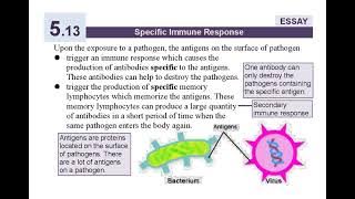 GCSE Edexcel (9-1) Biology  Health, Disease and the Development of Medicine Note #gcsebiology #gcse