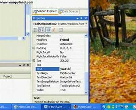 Visual Basic Lesson 1: Browser UI