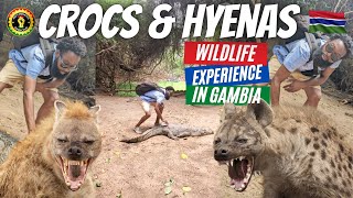 Up Close with Crocodiles & Hyenas: Wildlife In Gambia | Kachikally Crocodile Pool & Abuko Reserve