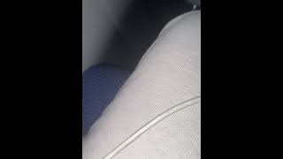 IMG 4229rf