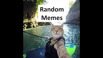Random Memes in my Camera Roll 3