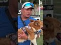 Corgis race to victory at Corgi Nationals Sprint Series in California
