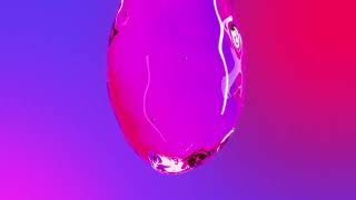 Angular - Incremental Hydration Net Worth