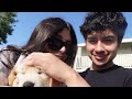 becoming parents and taking our puppy to the beach for his first time