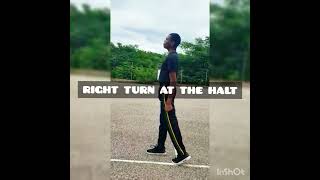 Drill Training: Right Turn at the Halt