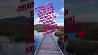 Kalpler . Ürək Resimi