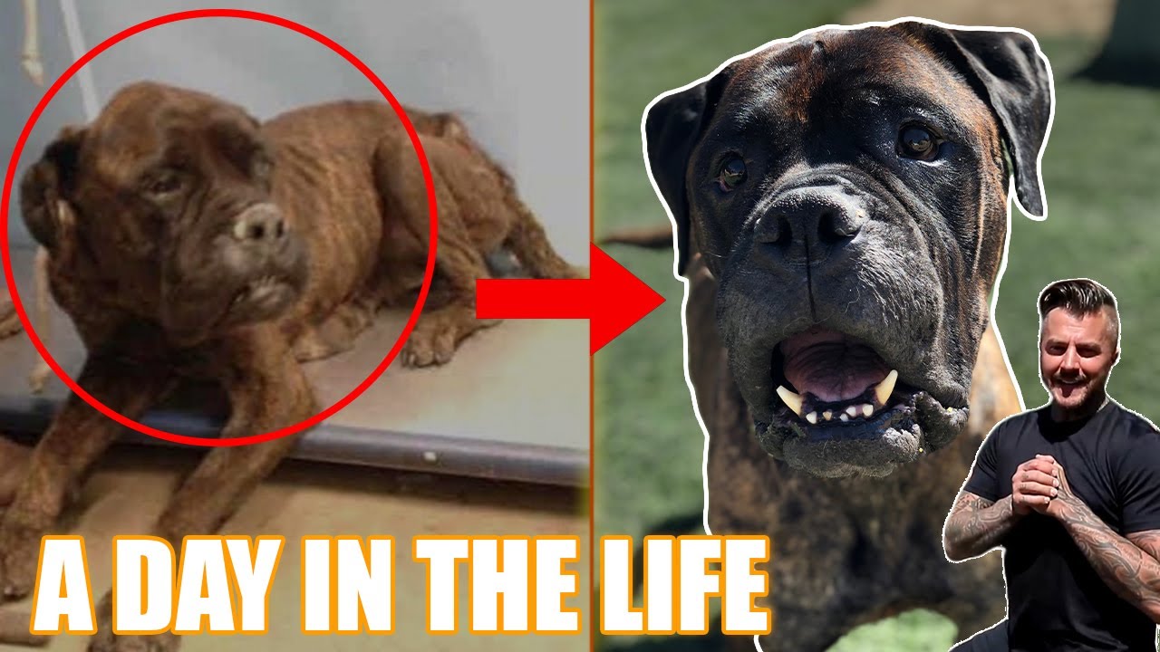 A Day with Tallulah - Part 1