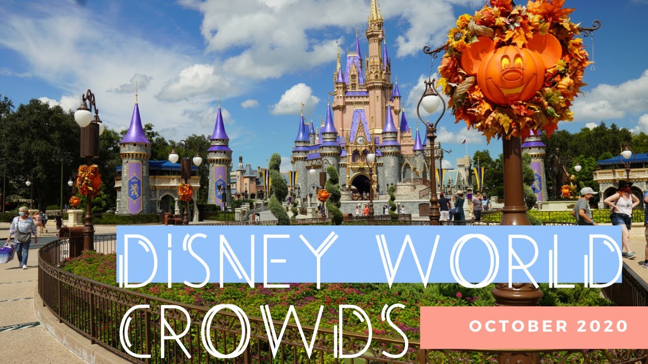What Are Crowds Like at Disney World Right Now? October 2020 YouTube