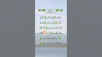 سورة الفجر | Surah Al-Fajr 🌄