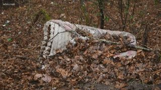 Litter problems persist across East Tennessee