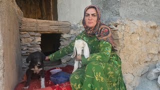 видео: Изнутри тайной жизни бездомных матерей картинка: Изнутри тайной жизни бездомных матерей