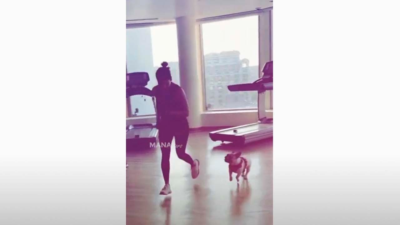 Samantha Playing With Her Dog Hash  