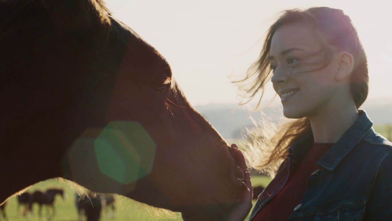 Energy's Commercial 2019