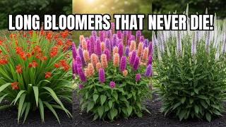 15 Perennials That Bloom NONSTOP Until Frost — Rare Flowers That Transform Your Garden Forever