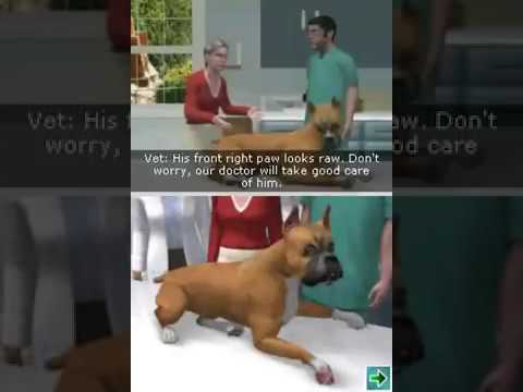 Pet Pals ~ Animal Doctor • NDS Gameplay