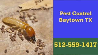 Exterminators  Baytown Texas - 24 Hr Pest Control Domestic Termite Treatment & Bed Bug Treatment