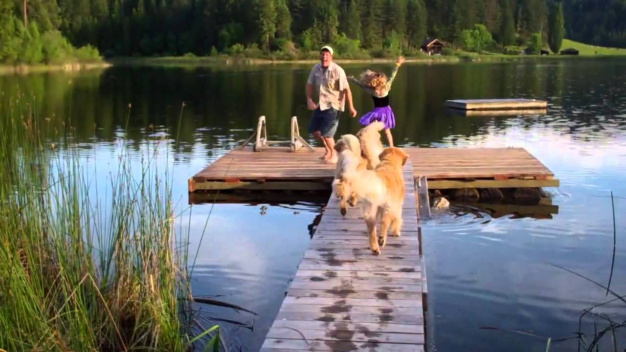 David Beckstead no Wedding Prime