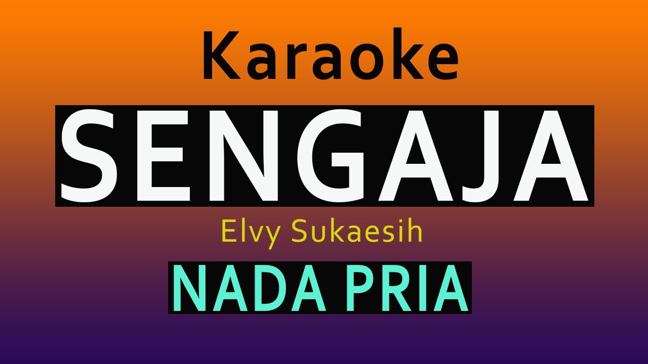 KARAOKE SENGAJA  - NADA PRIA [ elvy sukaesih ]