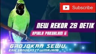 Audio Masteran Cucak Ijo Gorjogan Sewu (Di Jamin Cucak Ijo Anda Juara)