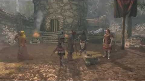 Skyrim Execution Bug