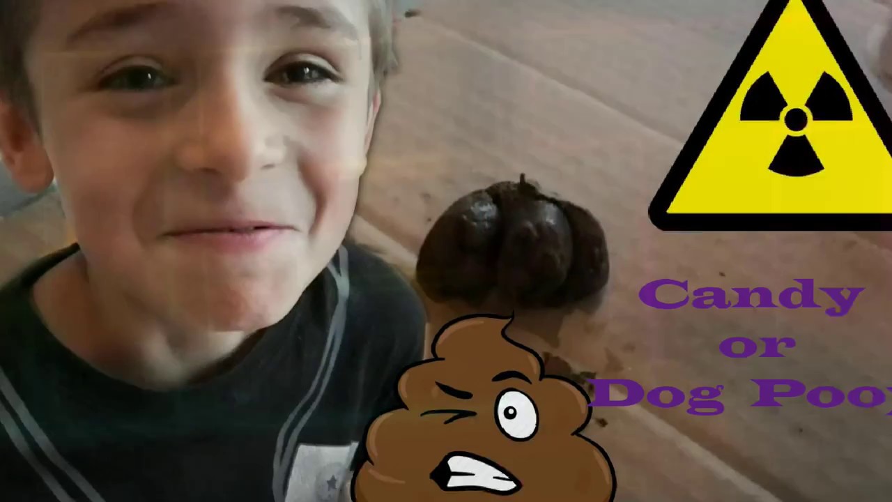 Candy or dog poop. What will it be? YouTube