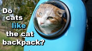 My Cats Review The Cat Backpack (aka the Space Capsule Carrier)