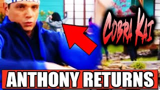 ANTHONY LARUSSO RETURNS & JOINS MIYAGI-DO? (Cobra Kai Season 4 Teaser Trailer)