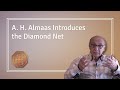 A h almaas introduces the diamond net  diamond approach 20