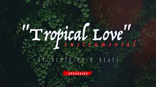 (Type Beat) TROPICAL LOVE  Instrumental 🌴 l Dancehall Pop 2018 l prod by DemsRiddim Beats l chords