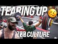 OLYMPIC WEIGHTLIFTER TEARS UP ZOO CULTURE