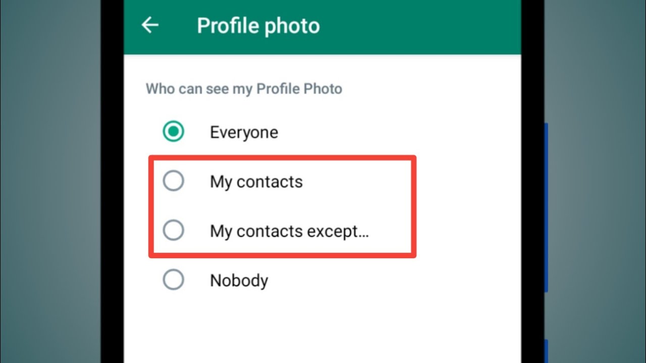 My contacts & my contacts except whatsapp profile photo privacy 2022