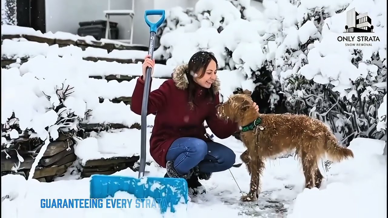 Only Strata Snow Removal Overridden - https://www.deltachamber.ca/-/ - 1957