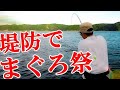 【青物釣り】ルアーでマグロが連発する堤防