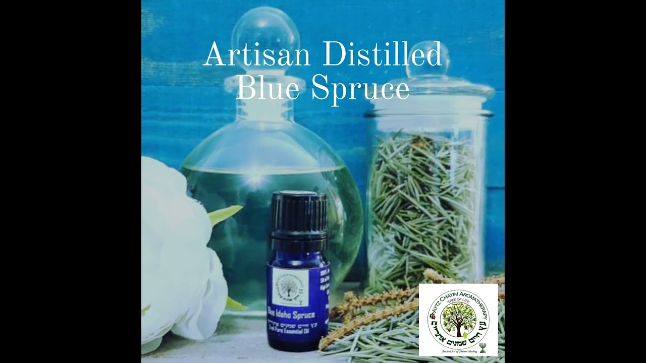 Artisan Distilled Blue Spruce