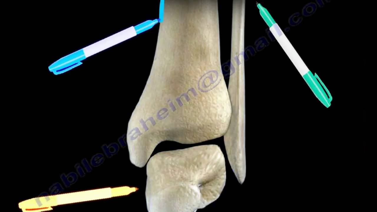 osteoarthritis 2 fokos bokakezelés ászanák ízületi fájdalmak esetén