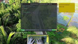 Learning Rust Programming -  Functions - Challenge 3 | ASMR Coding