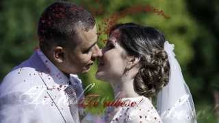 Diser Studio Alionaalex Slide Show