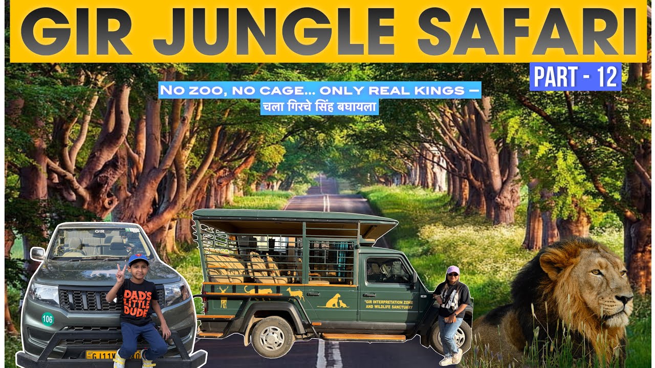 Part-12 | गिर जंगल सफारी | Gir Jungle Safari | Pune To Gujrat In Nexon 