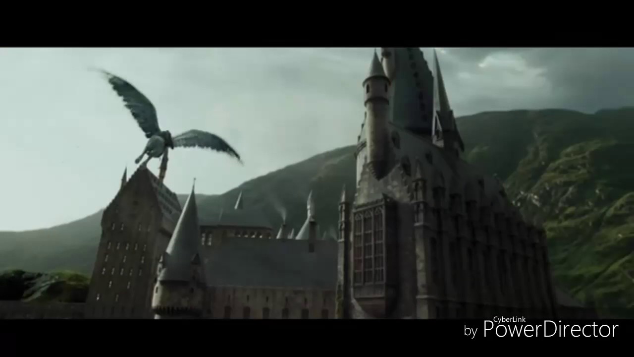 Harry Potter tribute (Skillet One day too Late) YouTube