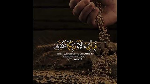 من سورة الرحمن حالات واتس اب دينيه // ستوريات انستجرام 🤍🌿