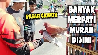 GAWOK SUKOHARJO PIGEON MARKET