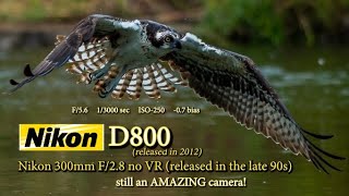 The old Nikon D800 - an amazing camera if you know what you are doing!