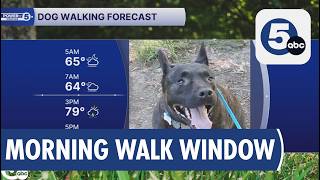 Dog Walking Forecast for Cleveland: Morning Clear, Storms This Afternoon